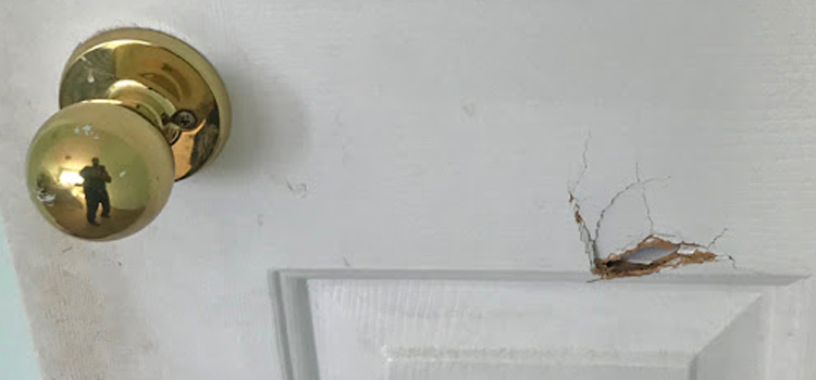 interior door hole repair Vista
