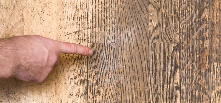 Wood Door Scratch Repair in Vista